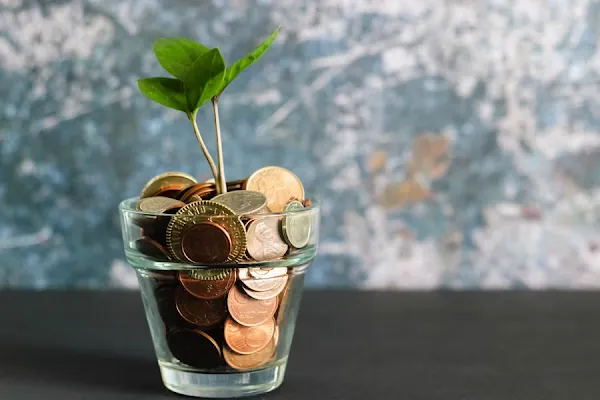 Investing in Online Sector